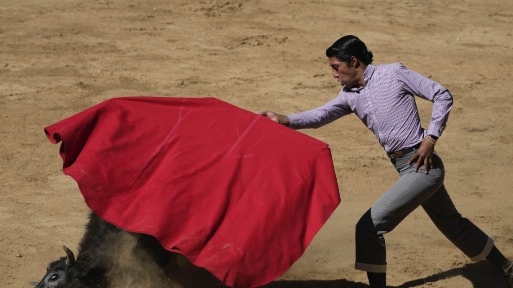 Mexico City Prohibits Bullfighting Cruelty to Safeguard Animals; Site of the Globe’s Biggest Bullring
