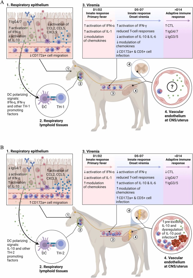 Researchers Discover Crucial Genetic Changes That Facilitate Horse Domestication for Riding
