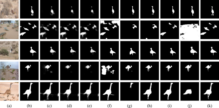 “Thorough Photography Volume Investigates Modern Viewpoints on More Than 200 Avian Species”