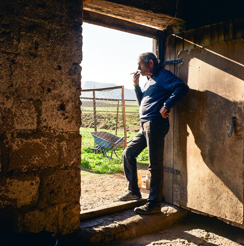 Image of a Shepherd captured by Maurizio Rampa Image of a Shepherd captured by Maurizio Rampa