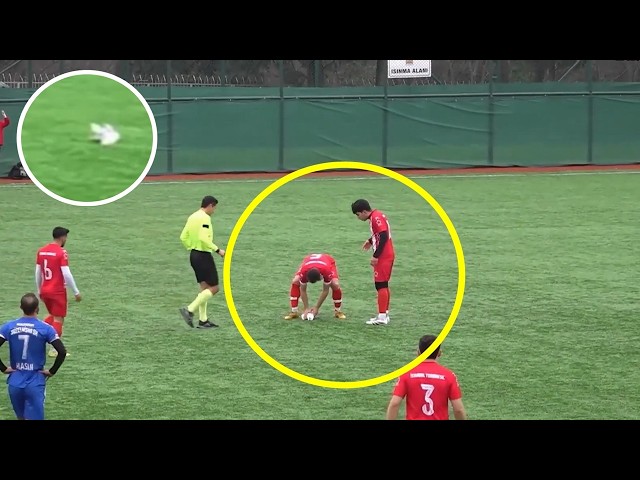 Soccer Player Performs CPR on Seagull Hit by Ball During Match in Istanbul