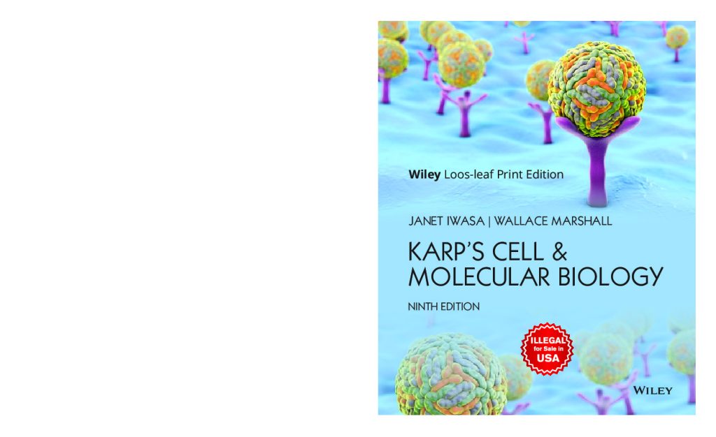 The Art and Life Journey of Susan Kleckner: A Focus on Raw Material The Art and Life Journey of Susan Kleckner: A Focus on Raw Material