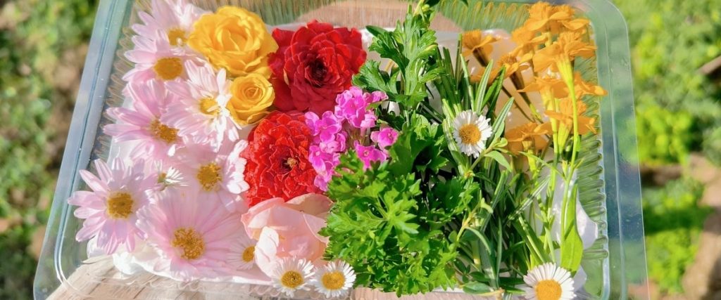 Turning Fresh Blooms into Lasting Botanical Masterpieces Turning Fresh Blooms into Lasting Botanical Masterpieces