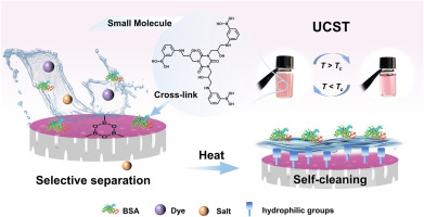 “Weekly Highlights from BSA: Significant Images for November 1, 2026”