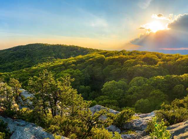 An Informative Guide to Spring Art Excursions Outside New York City An Informative Guide to Spring Art Excursions Outside New York City