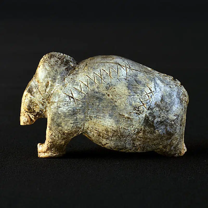 Ancient Symbols Engraved in Bone, Originating 40,000 Years Ago, Indicate the Early Roots of Written Language