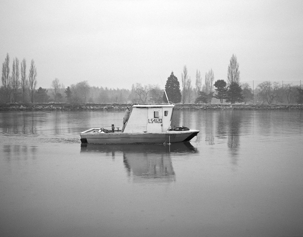 Arboriculture Photography captured by Reave Dennison