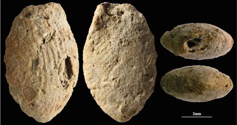 Archaeologists Discover Clay Jewelry from 15,000 Years Ago Displaying Children’s Fingerprints