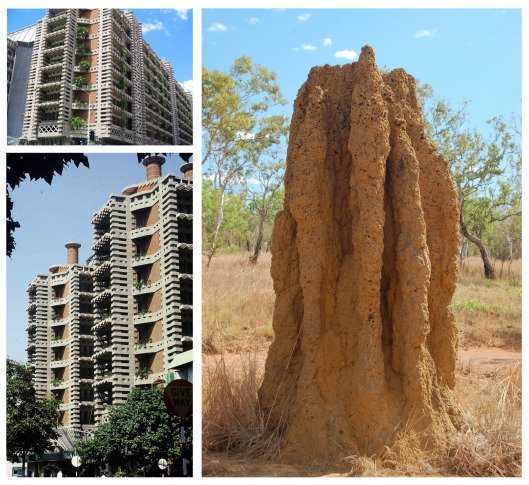 Architect Forsakes Conventional Design to Adopt Nature-Inspired Innovations