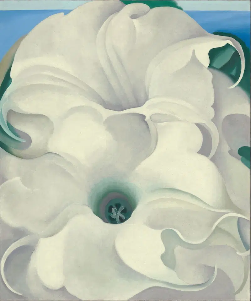 Digital Repository of Georgia O’Keeffe’s Entire Collection Launched by Museum Digital Repository of Georgia O’Keeffe’s Entire Collection Launched by Museum
