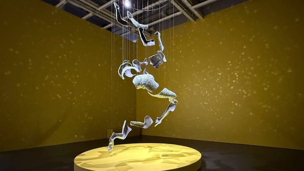 Effects and Recovery Challenges of a Two-Year Cycle Celebration