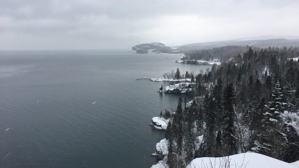 “Heroic Person Rescues Female from Peril Following Dog Sled Flip”