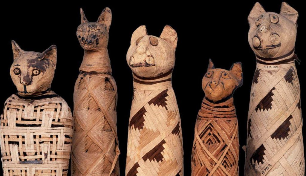 “New Publication Honors Cat Companions Across the Ages”