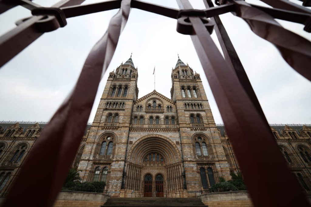 Report Reveals UK Museums’ Collection of Over 260,000 Human Remains