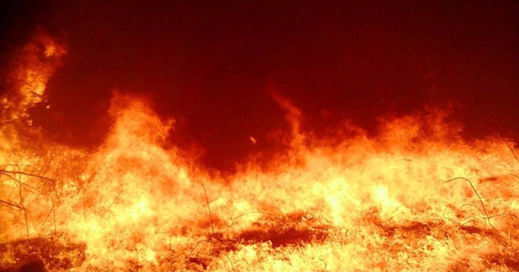 Trail Camera SD Card Endures Wildfire and Records Internal Flame Photos