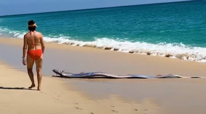 Wife Finds Skier Husband Buried Under Avalanche with “Find My iPhone”