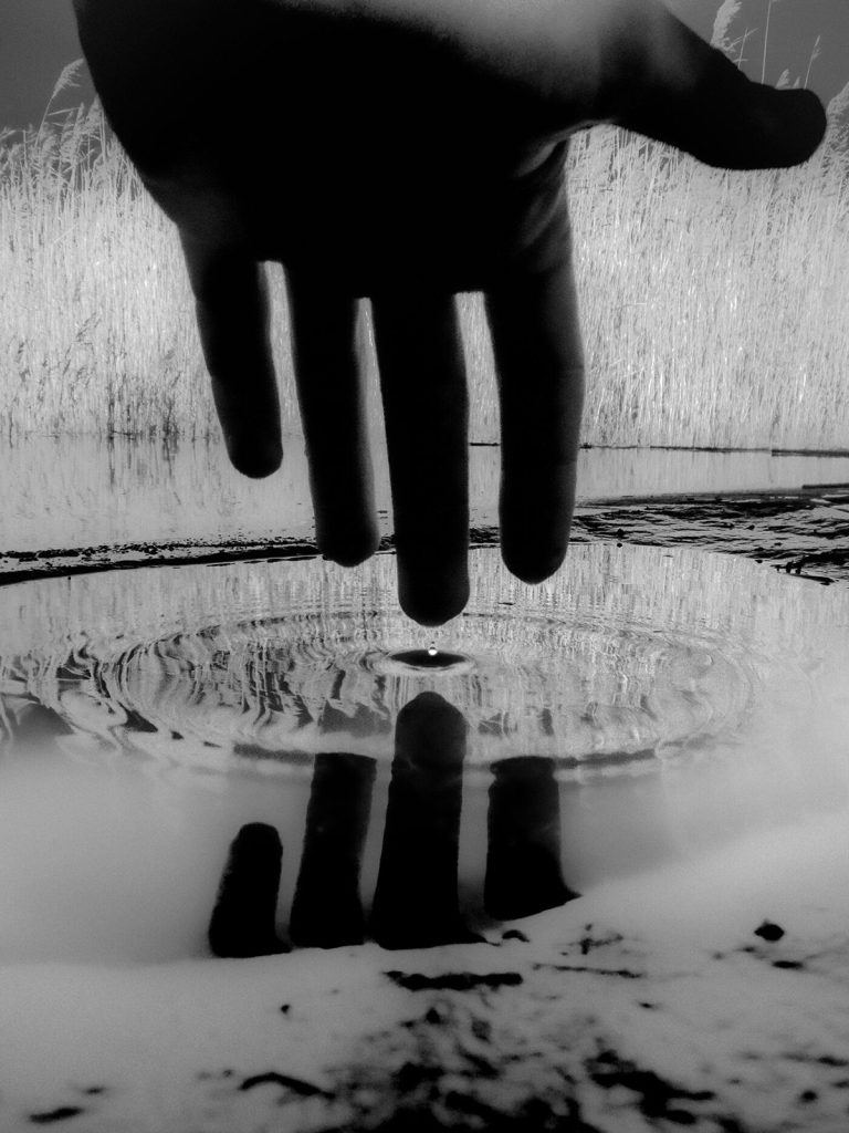 “Discovering Fleeting Moments: A Photographic Odyssey by Francisco Gonzalez Camacho”