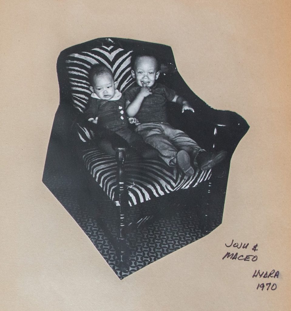 Exploring a Black Panther Family Album Exploring a Black Panther Family Album