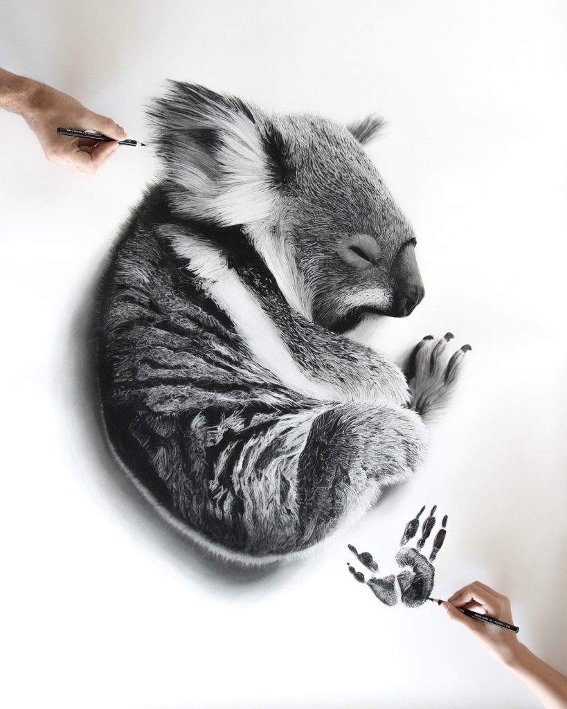 Father and Daughter Artists Create Extraordinary Photorealistic Charcoal Portraits of Animals