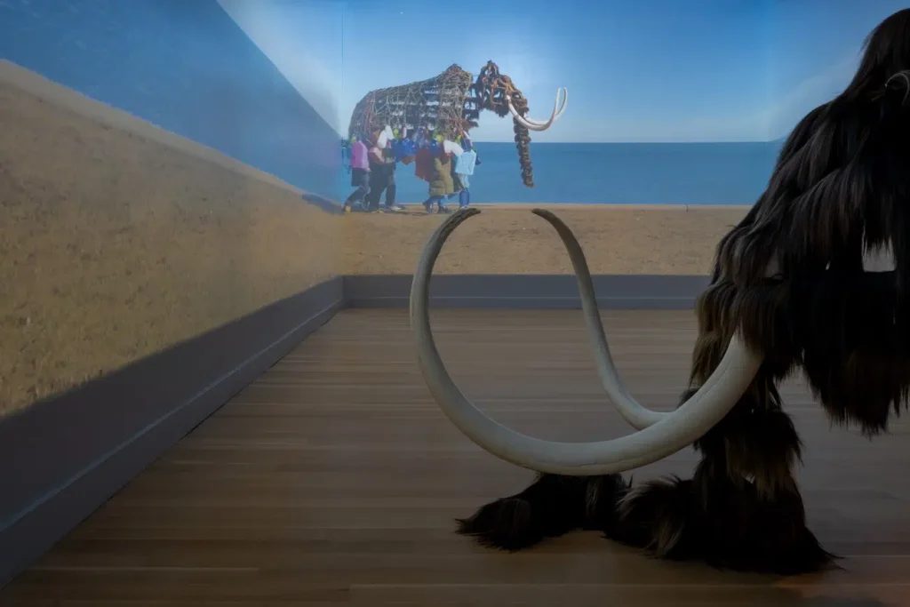 Nick Cave’s Vast Object Collection Provides Glimpses into His Personal History