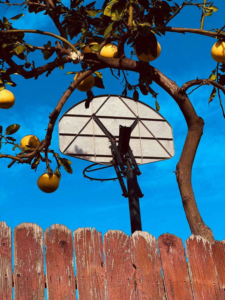 Photographer Dorian Tocker Chronicles the Journey of Recovery