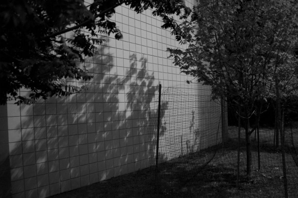 “Photography Unveiled by Britt Lucas Bennett” “Photography Unveiled by Britt Lucas Bennett”