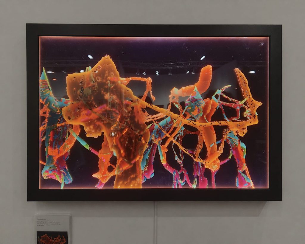 The Brooklyn Fine Art Print Fair Successfully Launches Independently The Brooklyn Fine Art Print Fair Successfully Launches Independently