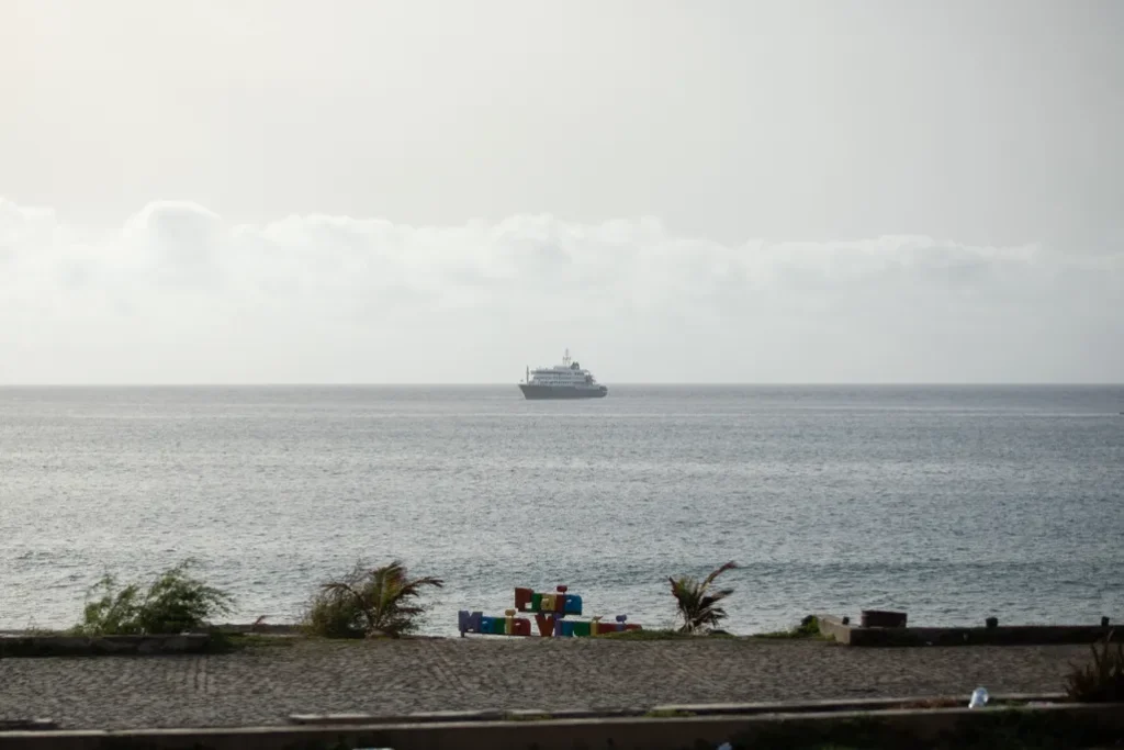 A Deadly Outbreak of Hantavirus Has Stranded a Cruise Ship in the Atlantic Ocean. Here’s What to Know About the Rare Contagion