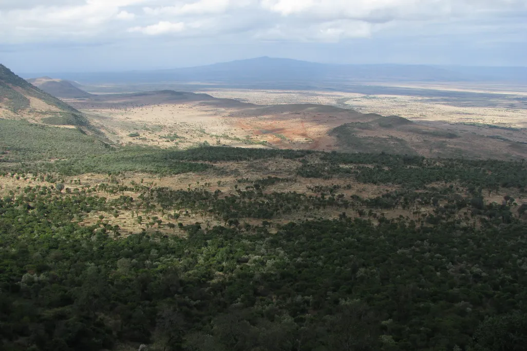 a cloudy green and brown valley