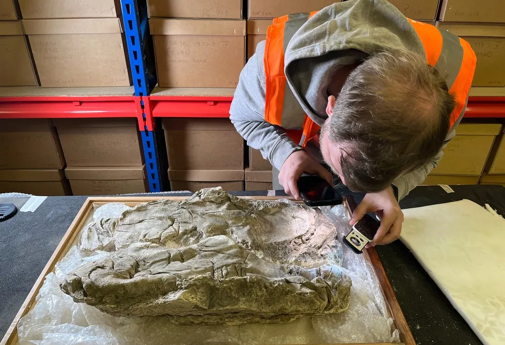 In the Ancient World, This Pigment Was Worth More Than Gold. Archaeologists Discovered It Buried With Babies in Roman Coffins