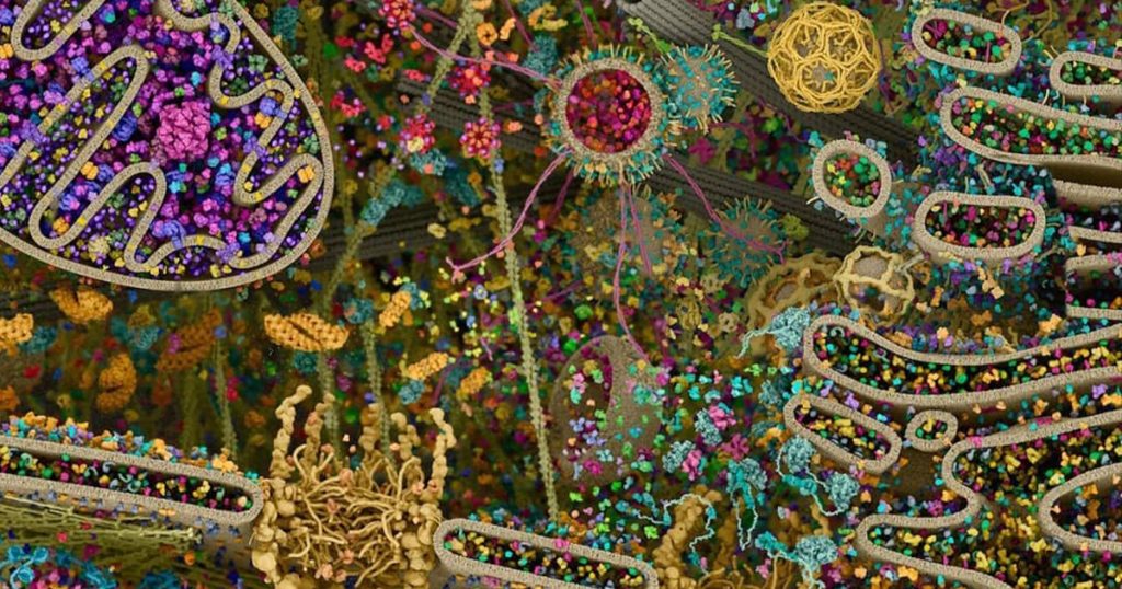 Researchers Chart the Complex and Lively Interior of a Human Cell